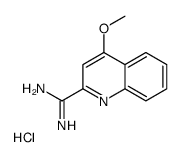 4-methoxyquinoline-2-carboximidamide,hydrochloride Structure