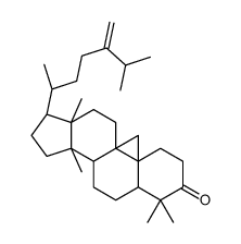 24-Methylenecycloartanone Structure