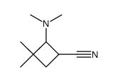 1-Cyano-2-dimethylamino-3,3-dimethyl-cyclobutan结构式