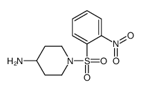 1-(2-nitrophenyl)sulfonylpiperidin-4-amine Structure