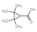 2,2,3,3-TETRAMETHYLCYCLOPROPANECARBOXYLIC ACID picture