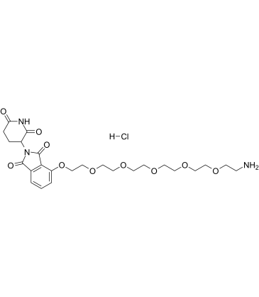 Pomalidomide-PEG6-NH2 hydrochloride图片