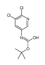 5,6-二氯吡啶-3-氨基甲酸叔丁酯结构式