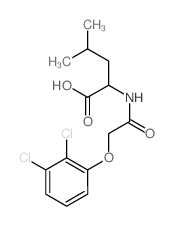 2-[[2-(2,3-dichlorophenoxy)acetyl]amino]-4-methyl-pentanoic acid结构式