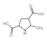 5-甲基-2,4-吡咯烷二羧酸结构式