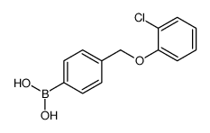 4-(2-氯苯氧基甲基)苯硼酸结构式