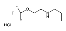 N-[2-(Trifluoromethoxy)ethyl]-1-propanamine hydrochloride (1:1) Structure