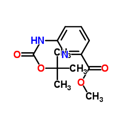 Methyl 6-tert-butoxycarbonylamino-2-pyridinecarboxylate结构式