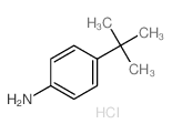 4-tert-butylaniline,hydrochloride Structure