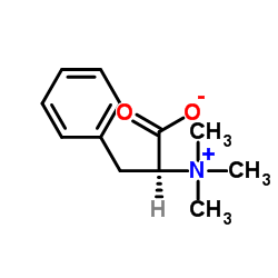 L-phenylalanine βine picture