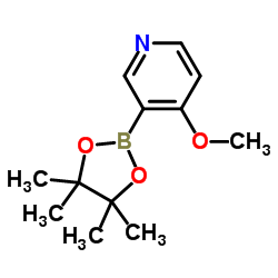 4-甲氧基吡啶-3-硼酸频哪醇酯结构式