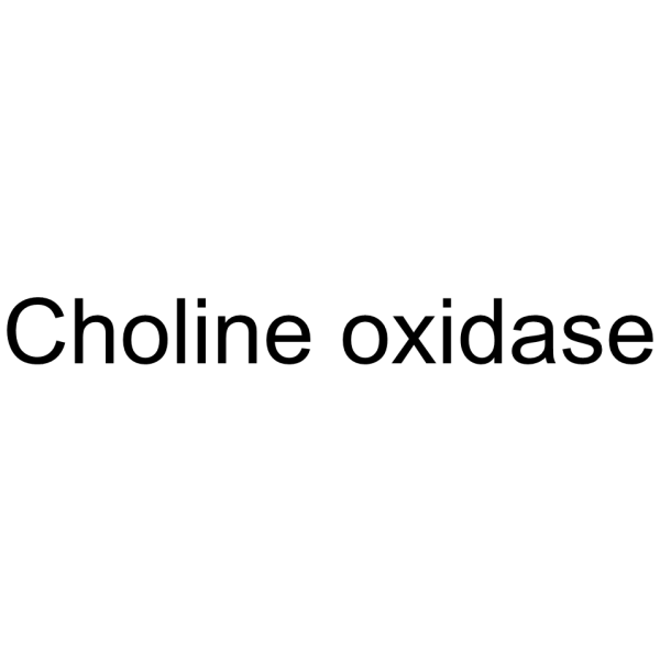 Oxidase choline structure
