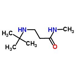 N-Methyl-N3-(2-methyl-2-propanyl)-β-alaninamide Structure
