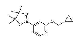 2-(cyclopropylmethoxy)-4-(4,4,5,5-tetramethyl-1,3,2-dioxaborolan-2-yl)pyridine Structure