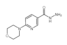 6-吗啉基烟酰肼结构式