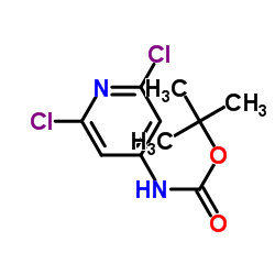 N-Boc-4-氨基-2,6-二氯吡啶结构式