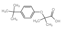 2-[4-(叔丁基)苯氧基]-2-甲基丙酸结构式
