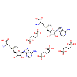 S-腺苷蛋氨酸 1,4-丁二磺酸盐结构式