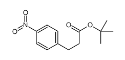3-(4-硝基苯基)丙酸叔丁酯结构式