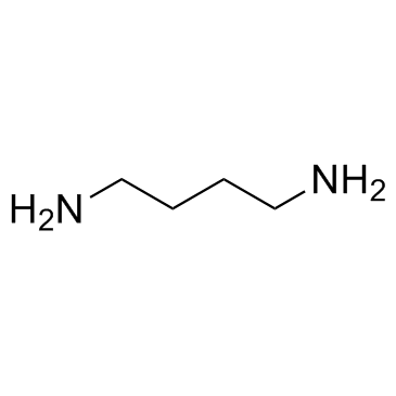 1,4-丁二胺结构式