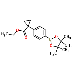 Ethyl 1-[4-(4,4,5,5-tetramethyl-1,3,2-dioxaborolan-2-yl)phenyl]cyclopropane-1-carboxylate structure