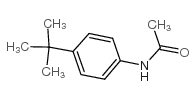 N-[4-(1,1-二甲基乙基)苯基]乙酰胺图片