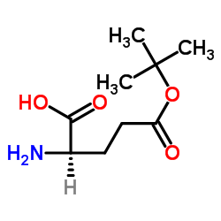 D-谷氨酸-5-叔丁酯图片