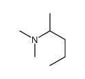 N,N-dimethylpentan-2-amine结构式