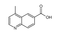 4-Methyl-quinoline-6-carboxylic acid structure