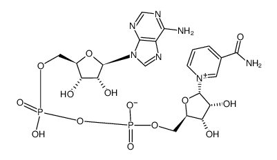 α-Nicotinamide adenine dinucleotide Structure