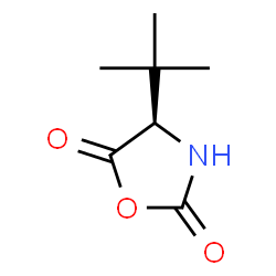 (R)-4-(叔丁基)噁唑烷-2,5-二酮结构式