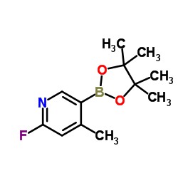 2-氟-4-甲基吡啶-5-硼酸频呢醇酯结构式