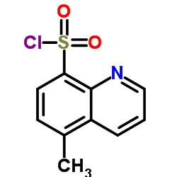 5-Methyl-8-quinoxalinesulfonyl Chloride Structure