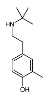 4-tert-Butylaminoethyl-2-methylphenol Structure