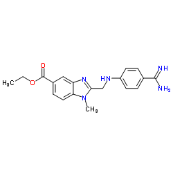 1H-​Benzimidazole-​5-​carboxylic acid, 2-​[[[4-​(aminoiminomethyl)​phenyl]​amino]​methyl]​-​1-​methyl-​, ethyl ester Structure