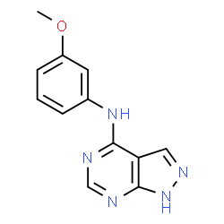 N-(3-Methoxyphenyl)-1H-pyrazolo[3,4-d]pyrimidin-4-amine结构式