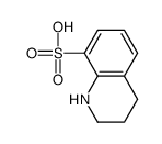1,2,3,4-tetrahydroquinoline-8-sulfonic acid Structure