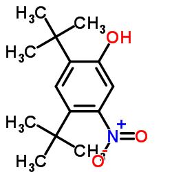 2,4-Bis(2-methyl-2-propanyl)-5-nitrophenol Structure