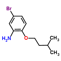 5-Bromo-2-(3-methylbutoxy)aniline Structure