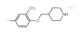 4-Chloro-2-methylphenyl 4-piperidinylmethyl ether hydrochloride结构式