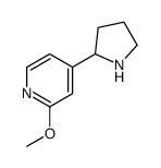 2-methoxy-4-pyrrolidin-2-ylpyridine Structure