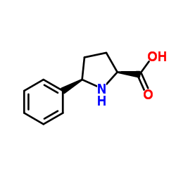 (2S,5R)-5-苯基吡咯烷-2-甲酸结构式