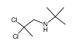 N-tert-butyl-(2,2-dichloropropyl)amine结构式