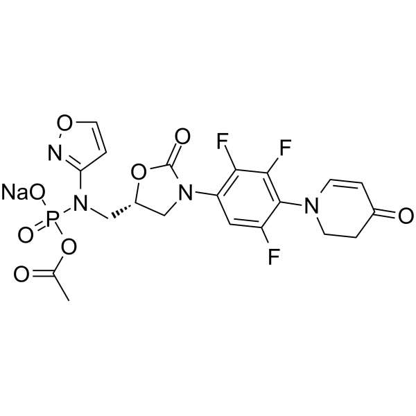 Contezolid acefosamil sodium picture