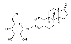 estrone glucoside structure