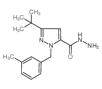 3-叔丁基-1-(3-甲基苄基)-1H-吡唑-5-甲酰肼结构式