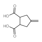 4-亚甲基环戊烷-1,2-二羧酸结构式