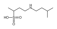 4-(3-methylbutylamino)butane-2-sulfonic acid结构式