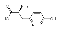 beta-(5-hydroxy-2-pyridyl)alanine picture