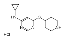 N-环丙基-6-(4-哌啶基氧基)-4-嘧啶胺盐酸盐结构式
